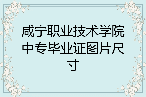 咸宁职业技术学院中专毕业证图片尺寸