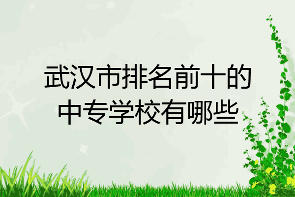 武汉市排名前十的中专学校有哪些
