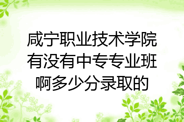 咸宁职业技术学院有没有中专专业班啊多少分录取的
