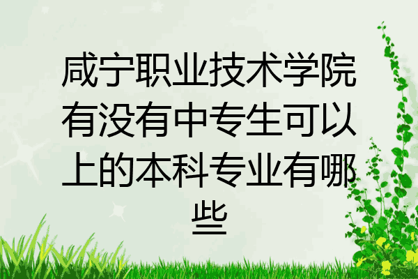 咸宁职业技术学院有没有中专生可以上的本科专业有哪些