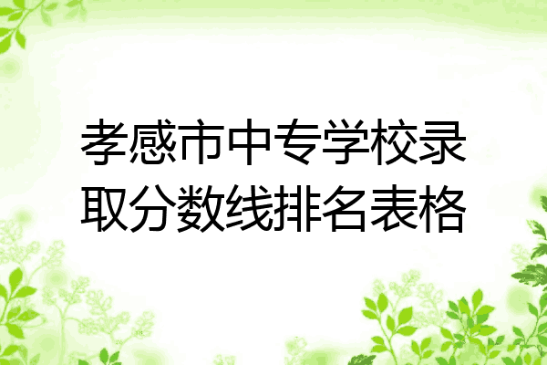 孝感市中专学校录取分数线排名表格