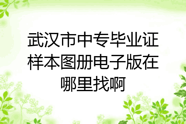 武汉市中专毕业证样本图册电子版在哪里找啊