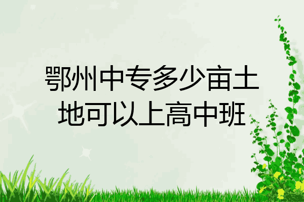 鄂州中专多少亩土地可以上高中班