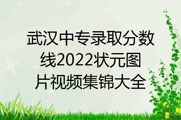 武汉中专录取分数线2022状元图片视频集锦大全