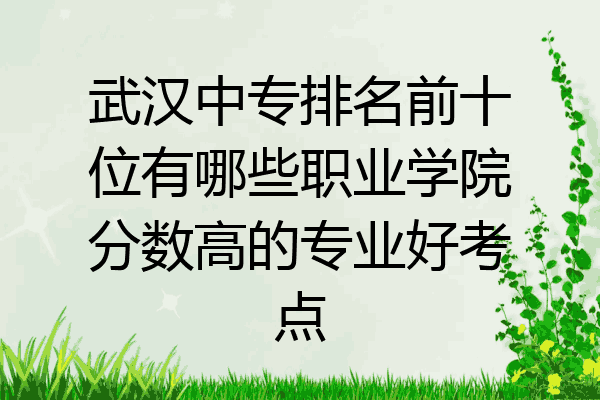 武汉中专排名前十位有哪些职业学院分数高的专业好考点