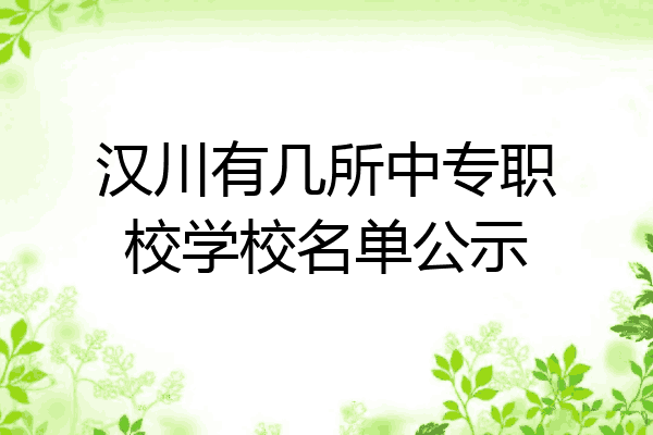 汉川有几所中专职校学校名单公示