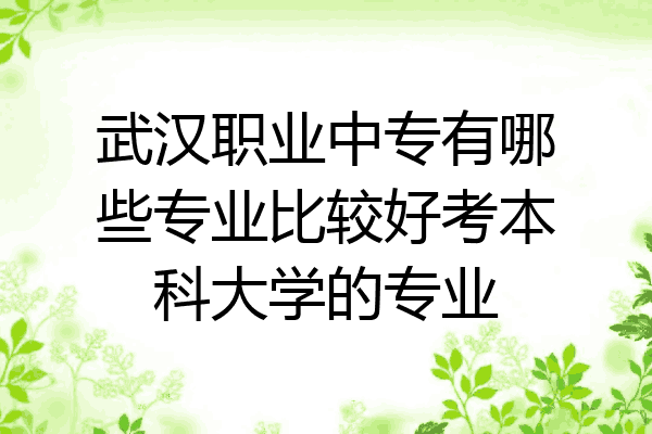 武汉职业中专有哪些专业比较好考本科大学的专业