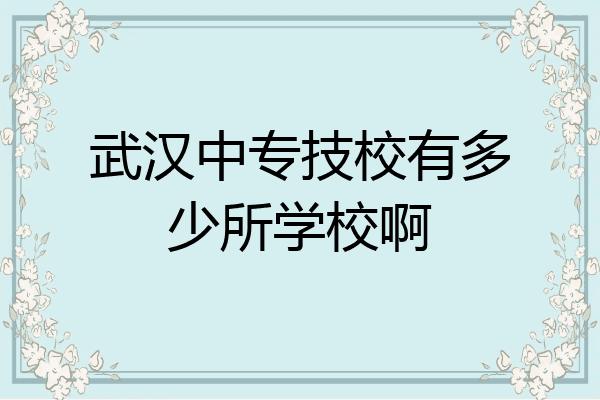 武汉中专技校有多少所学校啊