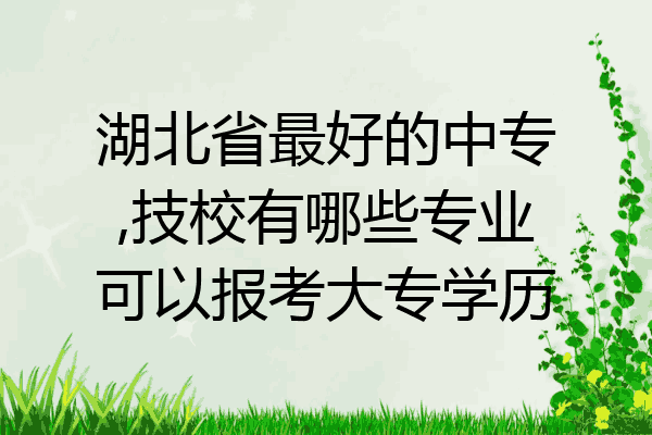 湖北省最好的中专,技校有哪些专业可以报考大专学历