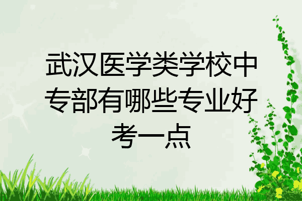 武汉医学类学校中专部有哪些专业好考一点