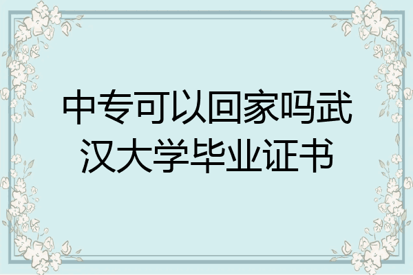 中专可以回家吗武汉大学毕业证书