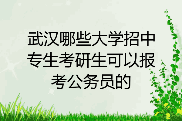武汉哪些大学招中专生考研生可以报考公务员的