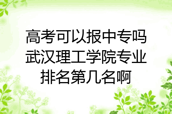 高考可以报中专吗武汉理工学院专业排名第几名啊