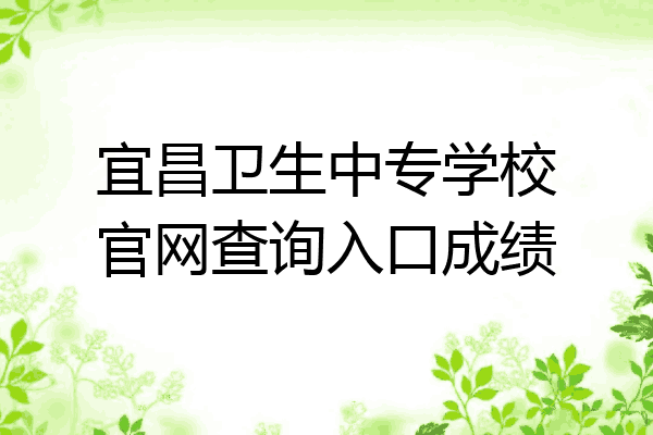 宜昌卫生中专学校官网查询入口成绩