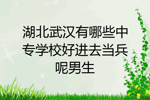 湖北武汉有哪些中专学校好进去当兵呢男生
