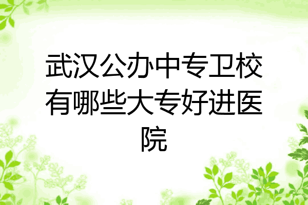 武汉公办中专卫校有哪些大专好进医院