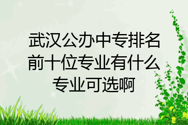 武汉公办中专排名前十位专业有什么专业可选啊