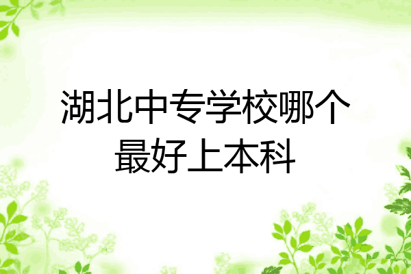 湖北中专学校哪个最好上本科