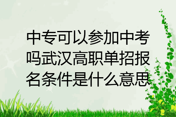 中专可以参加中考吗武汉高职单招报名条件是什么意思
