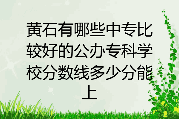 黄石有哪些中专比较好的公办专科学校分数线多少分能上