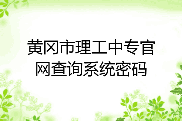 黄冈市理工中专官网查询系统密码