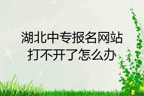 湖北中专报名网站打不开了怎么办