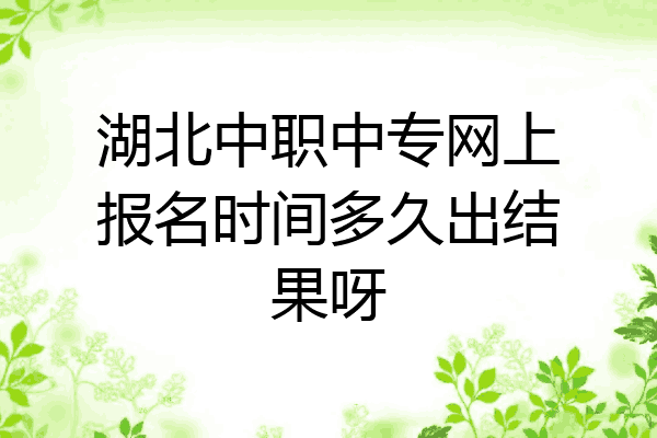 湖北中职中专网上报名时间多久出结果呀