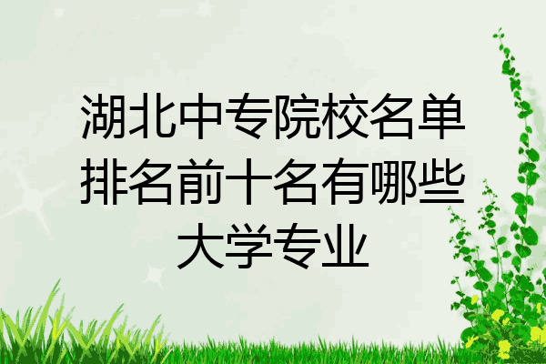 湖北中专院校名单排名前十名有哪些大学专业