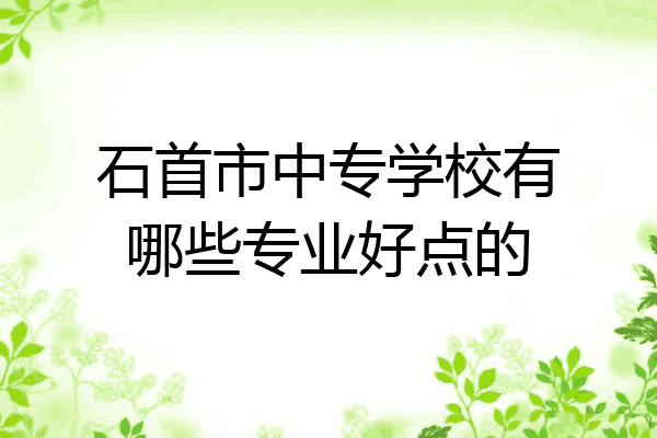石首市中专学校有哪些专业好点的