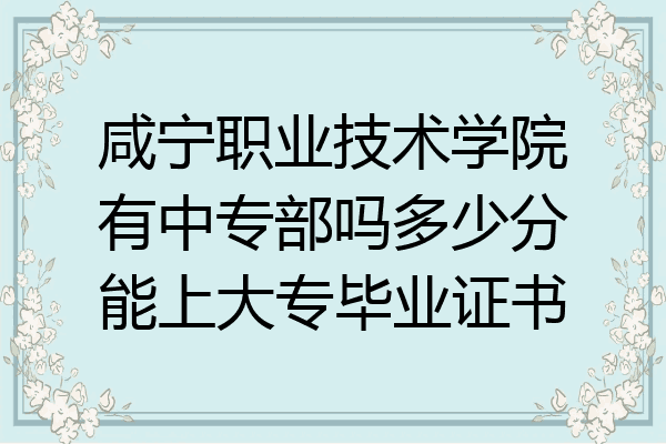 咸宁职业技术学院有中专部吗多少分能上大专毕业证书