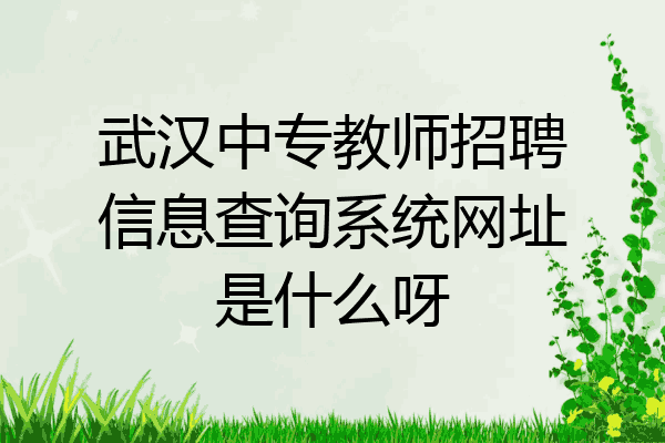 武汉中专教师招聘信息查询系统网址是什么呀