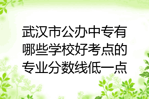 武汉市公办中专有哪些学校好考点的专业分数线低一点