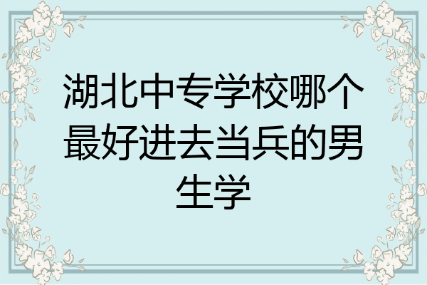 湖北中专学校哪个最好进去当兵的男生学