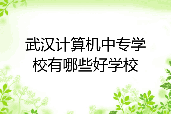 武汉计算机中专学校有哪些好学校