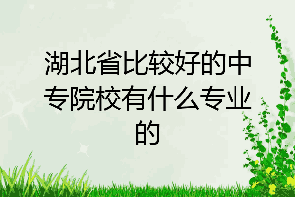 湖北省比较好的中专院校有什么专业的