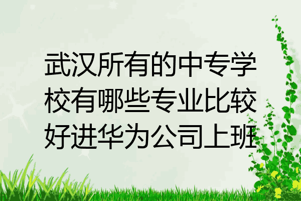 武汉所有的中专学校有哪些专业比较好进华为公司上班