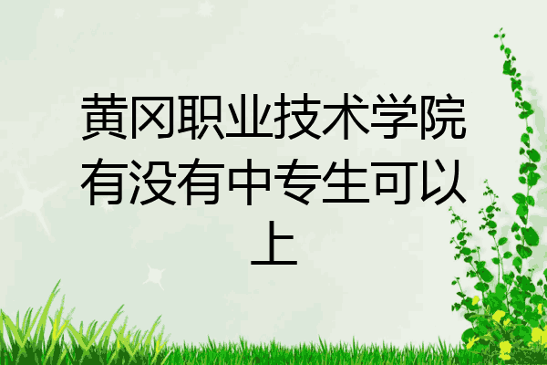 黄冈职业技术学院有没有中专生可以上