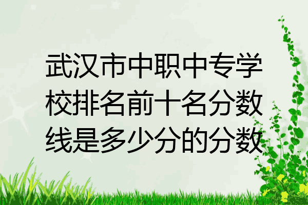 武汉市中职中专学校排名前十名分数线是多少分的分数