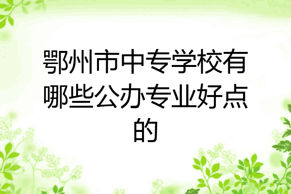 鄂州市中专学校有哪些公办专业好点的