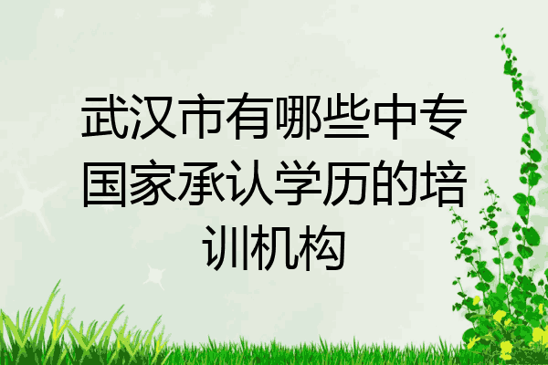 武汉市有哪些中专国家承认学历的培训机构