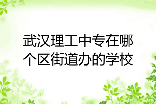 武汉理工中专在哪个区街道办的学校