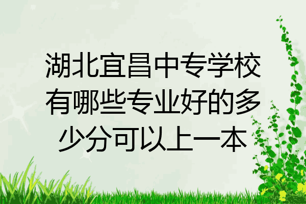 湖北宜昌中专学校有哪些专业好的多少分可以上一本