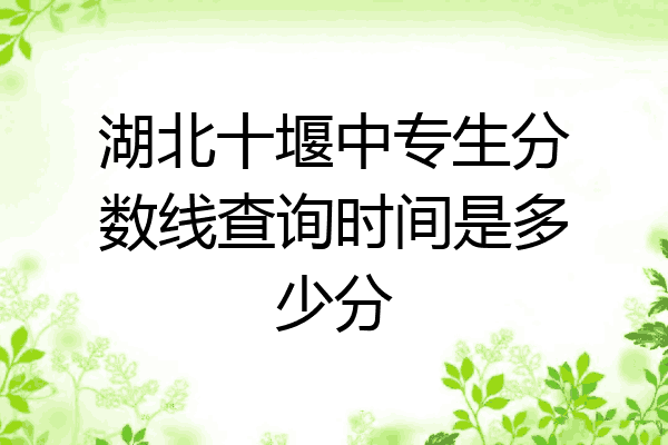 湖北十堰中专生分数线查询时间是多少分