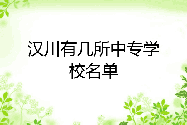 汉川有几所中专学校名单