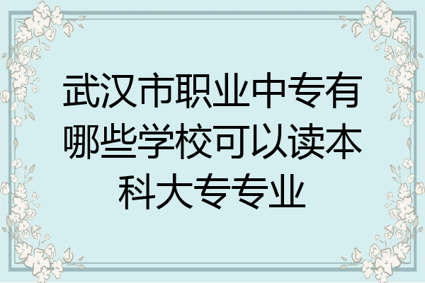 武汉市职业中专有哪些学校可以读本科大专专业