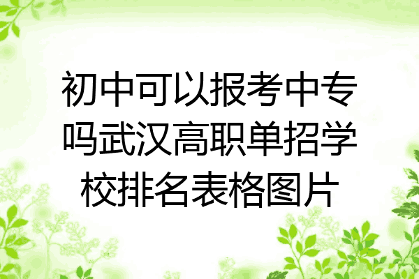 初中可以报考中专吗武汉高职单招学校排名表格图片