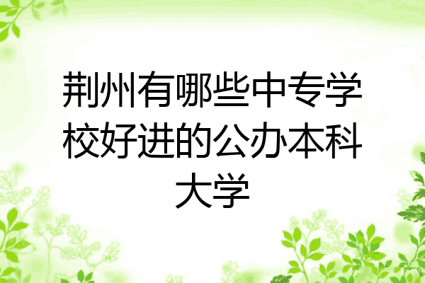 荆州有哪些中专学校好进的公办本科大学