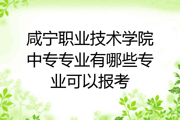 咸宁职业技术学院中专专业有哪些专业可以报考
