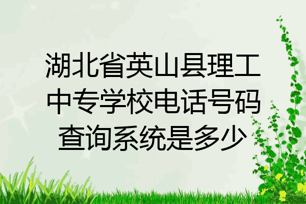 湖北省英山县理工中专学校电话号码查询系统是多少