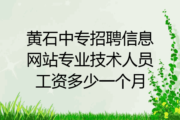 黄石中专招聘信息网站专业技术人员工资多少一个月